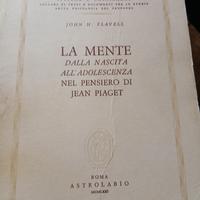 LA MENTE DI PIAGEY