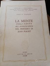 LA MENTE DI PIAGEY