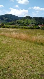 Terreno Edificabile (leggere descrizione)