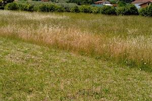 Terreno Edificabile (leggere descrizione)