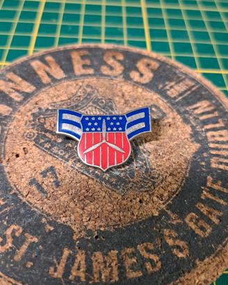 Spilla Militare Civil Air Patrol CAP USA - D-22