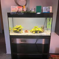 Acquario Askoll pure XL nero  + mobile