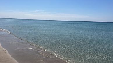 Appartamenti al mare