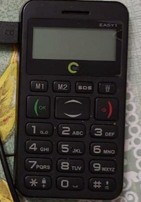 Cellulare Easy1