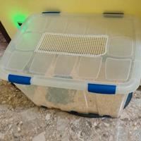 Teca gabbia roditori, riccio africano, criceti