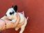 Immagine 1