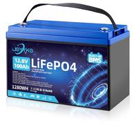 Batteria LiFePo4 JOYYKO 100Ah