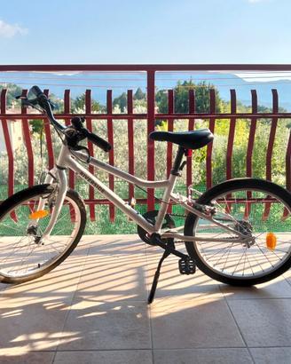 Bicicletta riverside100