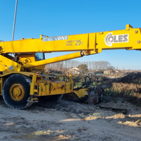 Autogrù Coles Crane Husky 625 - 25 ton