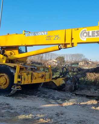 Autogrù Coles Crane Husky 625 - 25 ton