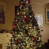 Albero di Natale decorato alt 220 cm