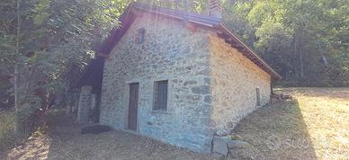 Casolare nel bosco