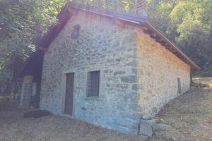Casolare nel bosco