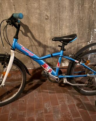 Bici unisex 20 pollici