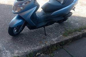 burgman