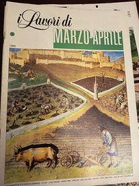 Riviste e Corso di Inglese