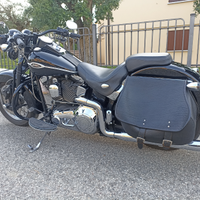 Heritage springer