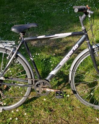 bicicletta da sistemare