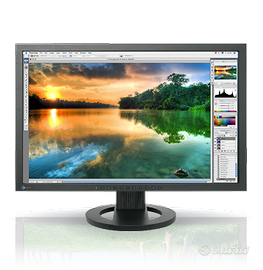 Monitor professionale EIZO ColorEdge CG223W