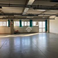 CAPANNONE A LASTRA A SIGNA