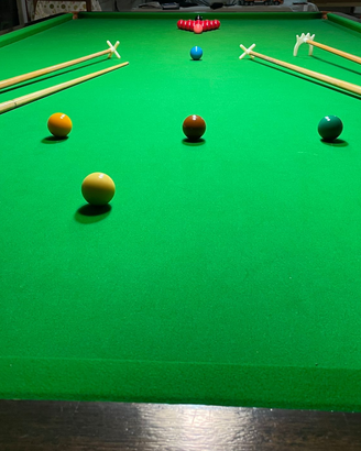 Tavolo da biliardo Snooker Riley professionale