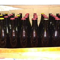 Bottiglie vetro scuro per vari tipi di tappi.