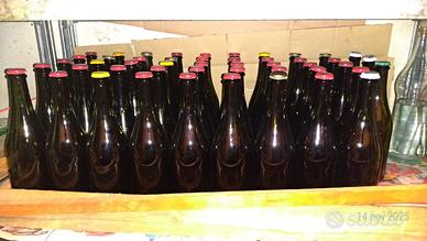 Bottiglie vetro scuro per vari tipi di tappi.