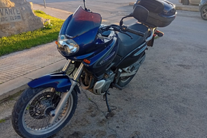 Suzuki 650
