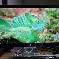 Apple Thunderbolt Display 2011 Model A1407