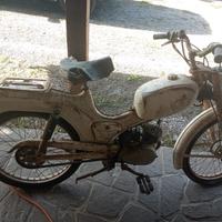 Ducati piuma brisk