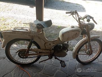 Ducati piuma brisk