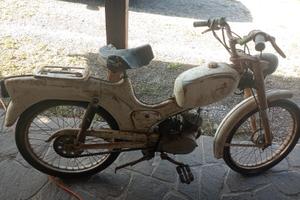 Ducati piuma brisk