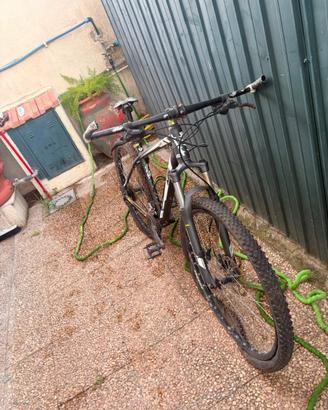 Bicicletta KTM in alluminio da 29