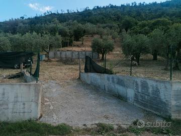 Terreno agricolo