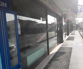 TABACCHERIA-EDICOLA in ADRIA (RO)