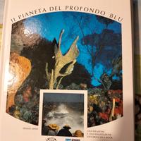 ritorno al mare collezione completa