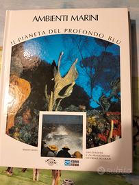 ritorno al mare collezione completa