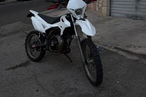 Beta rr 50 2018