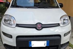 Fiat Panda Easy