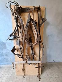 Finimenti per cavallo da tiro