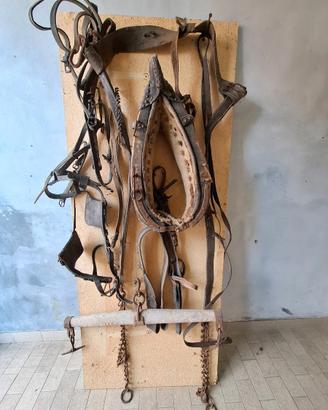 Finimenti per cavallo da tiro