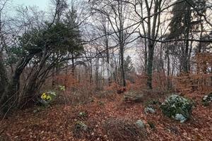 TER. AGRICOLO A VITTORIO VENETO