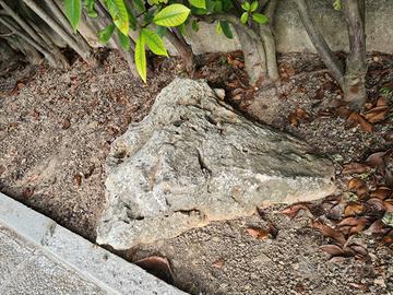 Rocce da giardino 