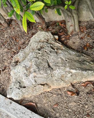 Rocce da giardino 