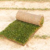 Erba Naturale | Puglia | Basilicata