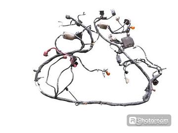 cablaggio elettrico Honda Sh 300 Ie