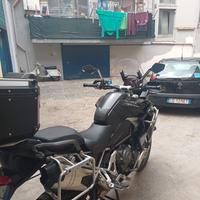 Triumph Tiger rally explorer 1200 - 2024