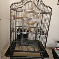 Kit completo per pappagalli  medii e grandi