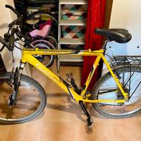MTB Wilier Triestina