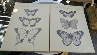 Coppia di quadri in tela Ikea